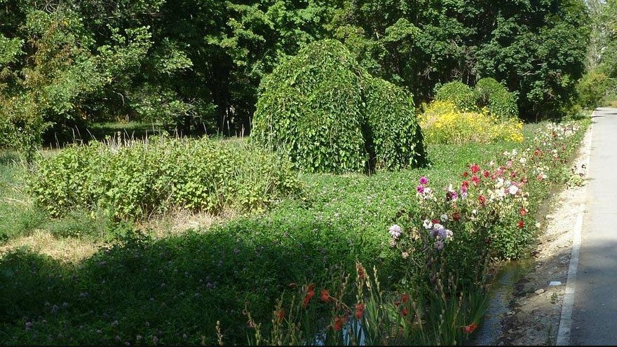 Farkhor Botanical Garden, Khatlon Region, Tajikistan